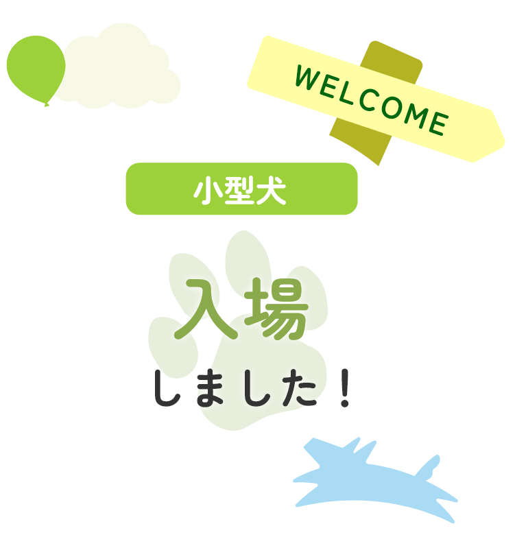 小型犬入場