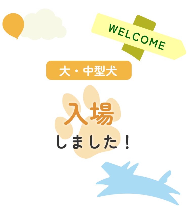 大・中型犬入場