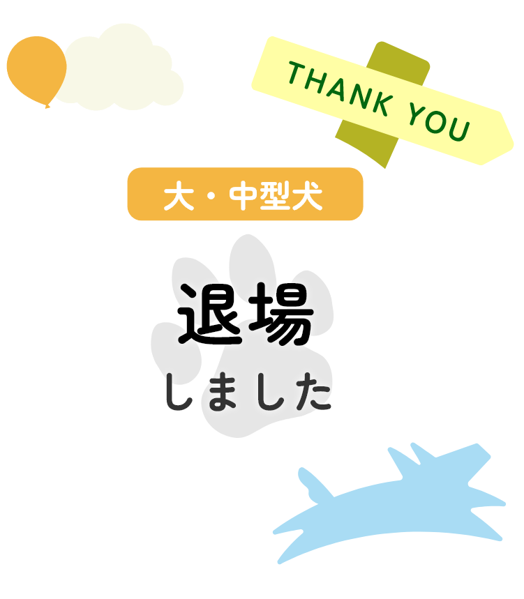 大・中型犬退場